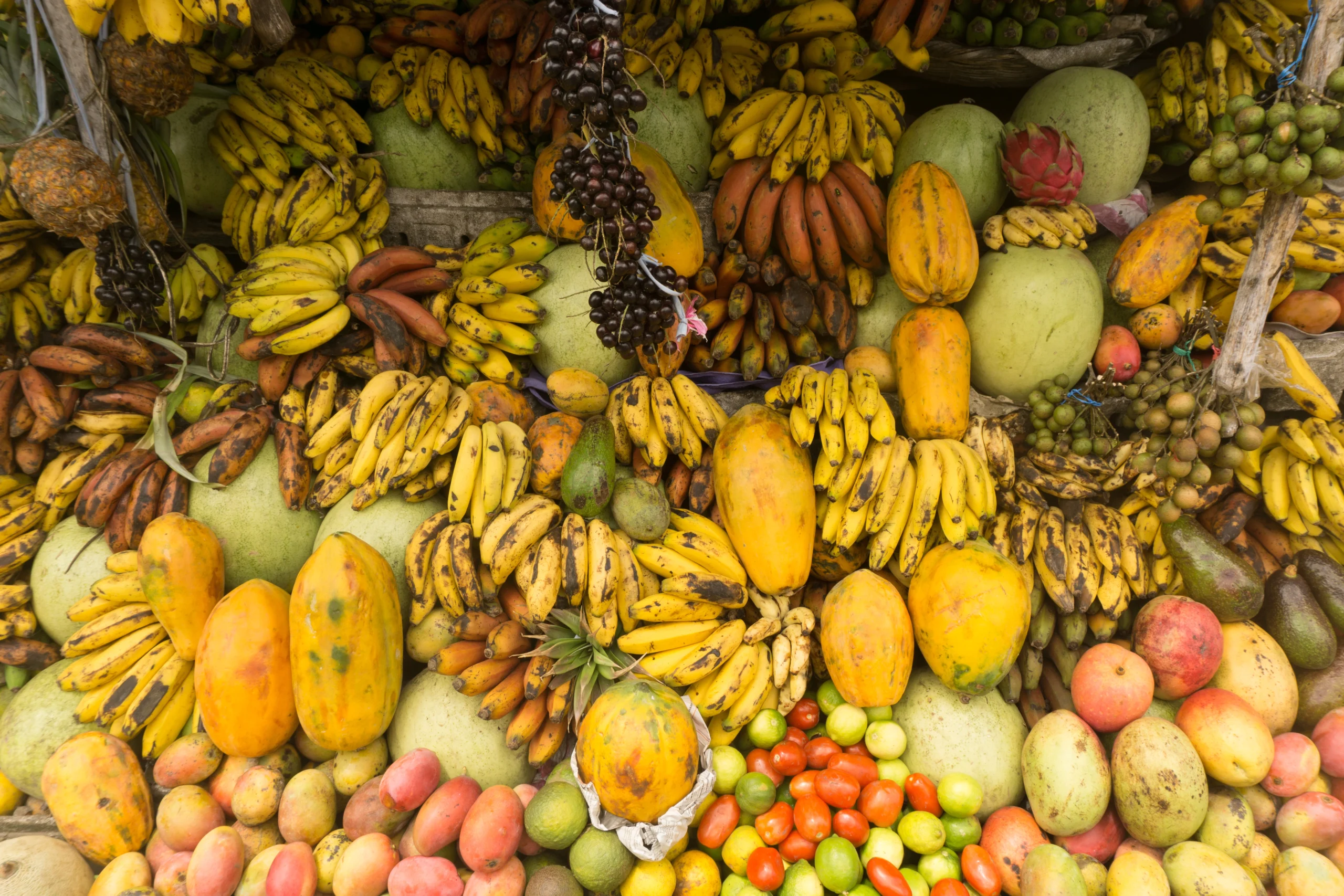 Puedes encontrar muchos tipos de frutas en Colombia