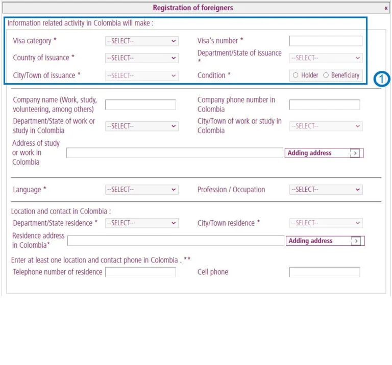 Introduzca la información sobre el visado aprobado