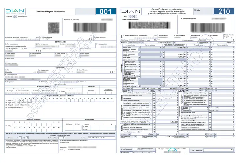 Colombian Tax ID, Income Tax Filing, and Lawyer Appointment