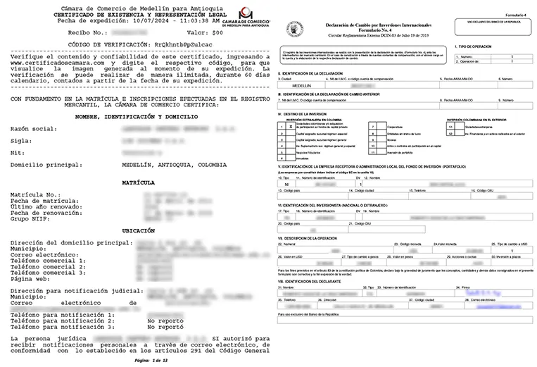 Creación de Empresa e Inyección de Capital en Colombia