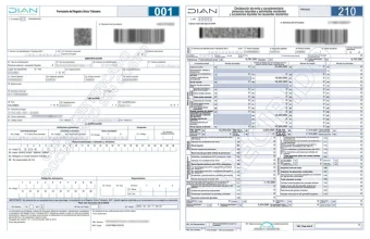 Colombian Tax ID, Income Tax Filing, and Lawyer Appointment