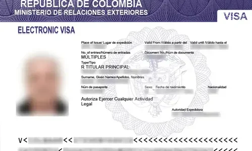 Visa Transfer