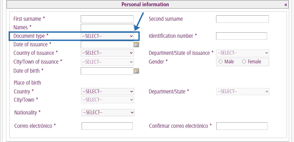 Choose "passport" as the document type