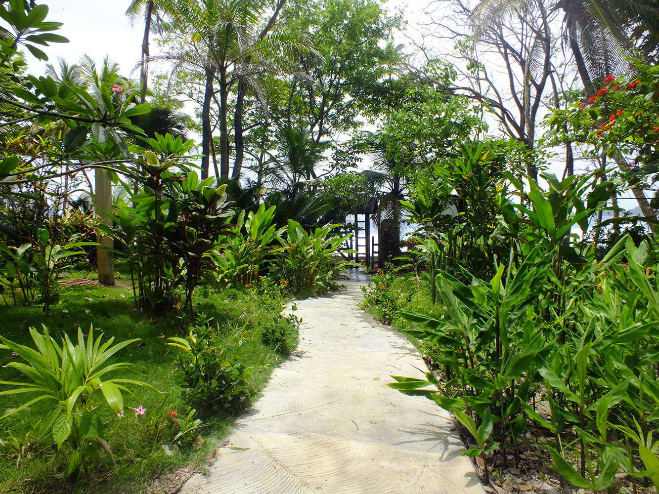 Casa Galú offers unique treetop accommodations with stunning Caribbean Sea views.
