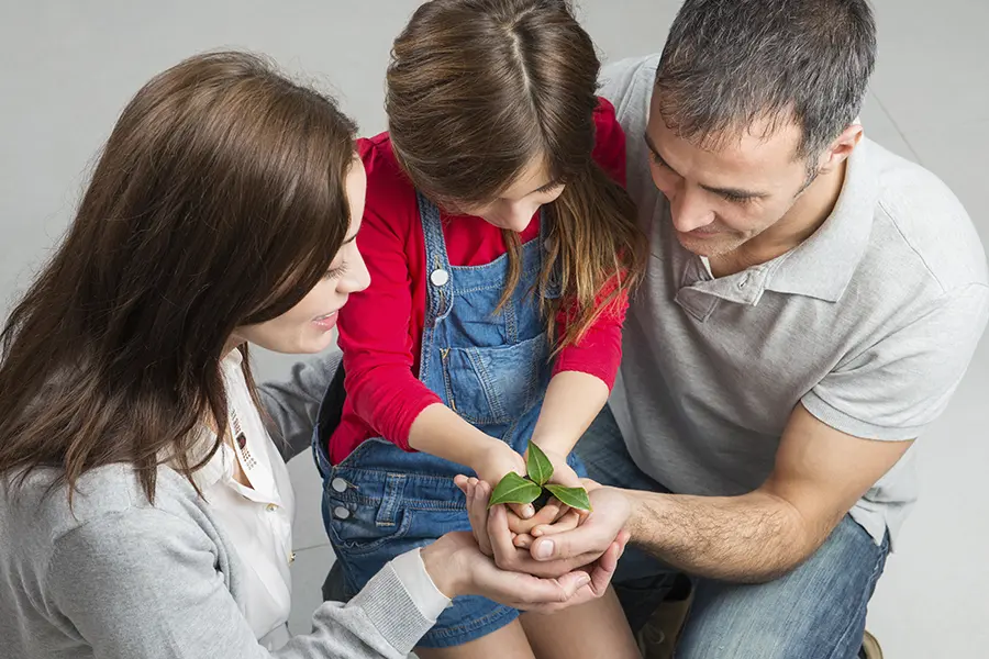 Parents wishing to adopt internationally must validate their identities and criminal backgrounds