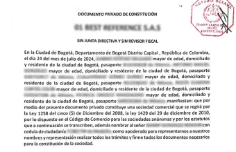 Company Statutes and Shareholder Documentation